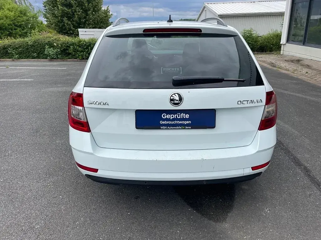 Gebraucht Skoda Octavia Clever 116 PS (85 kW) 2019 Weiß Kombi