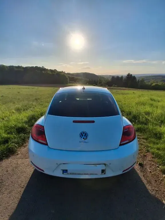 Gebraucht VW Beetle Exclusive 105 PS (77 kW) 2014 Weiß Kleinwagen