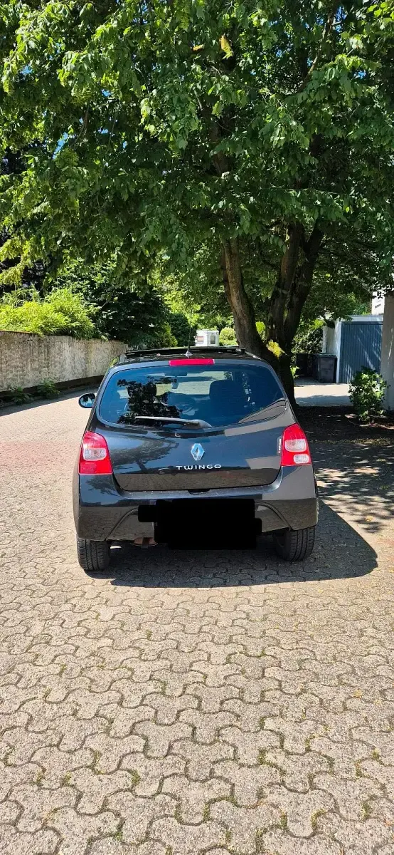 Gebraucht Renault Twingo Rip Curl 76 PS (55 kW) 2009 Schwarz Kleinwagen