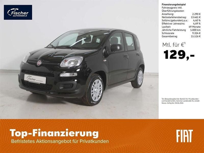 Neu Fiat Panda Icon 69 PS (50 kW) 2025 Schwarz Limousine