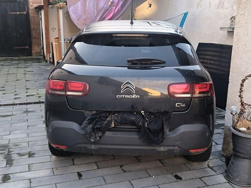 Gebraucht Citroën C4 Cactus PureTech 110 PS (80 kW) 2021 Schwarz Kleinwagen