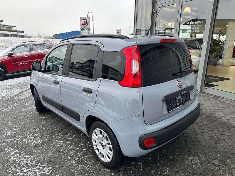 Gebraucht Fiat Panda Easy 69 PS (50 kW) 2019 Colore esterno (************** Kleinwagen