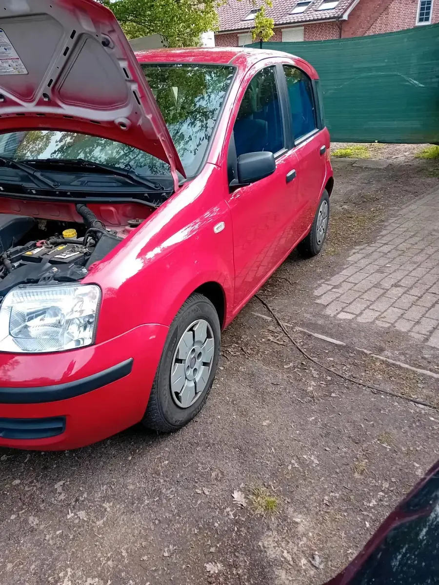 Gebraucht Fiat Panda 54 PS (39 kW) 2009 Rot Kleinwagen