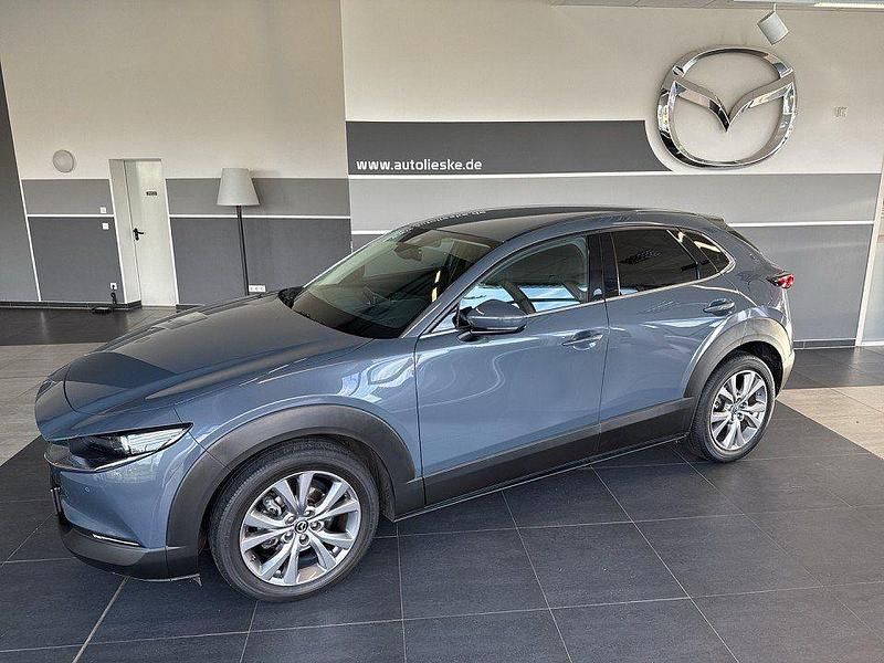 Gebraucht Mazda CX-30 Selection 122 PS (89 kW) 2020 Polymetal grau SUV