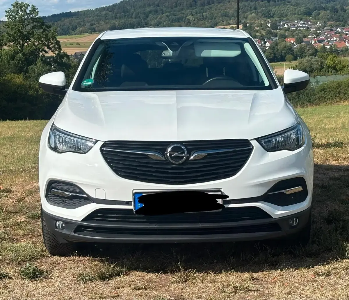 Gebraucht Opel Grandland X 131 PS (96 kW) 2018 Weiß SUV