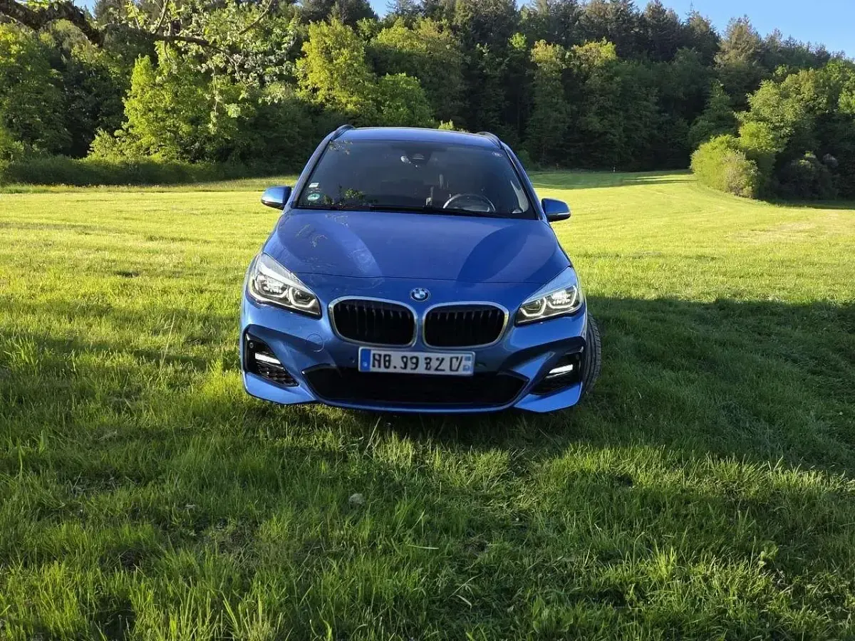Gebraucht BMW 218 M Sport 140 PS (102 kW) 2019 Blau Van / Kleinbus