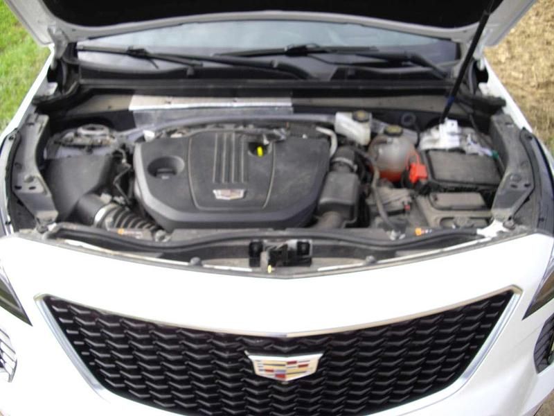 Gebraucht Cadillac XT4 174 PS (127 kW) 2021 Weiß SUV