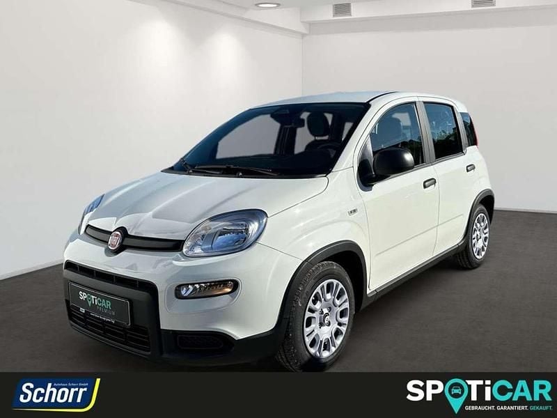 Gebraucht Fiat Panda 69 PS (50 kW) 2024 Gelato weiss Kleinwagen