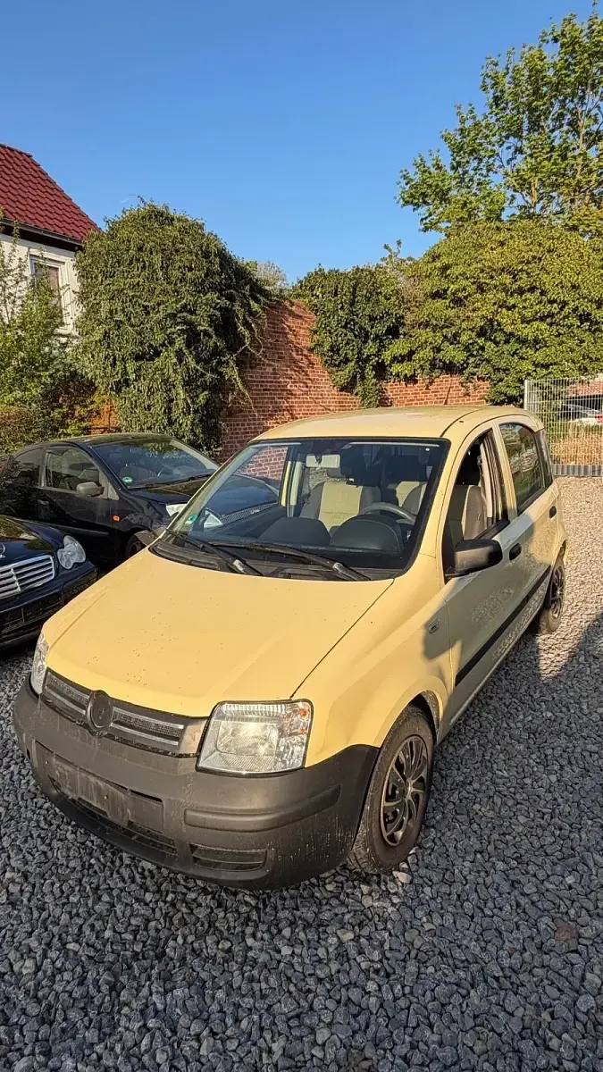 Brugt Fiat Panda 60 HK (44 kW) 2009 Gul Hatchback