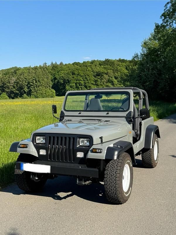 Gebraucht Jeep Wrangler 178 PS (130 kW) 1994 Grau SUV