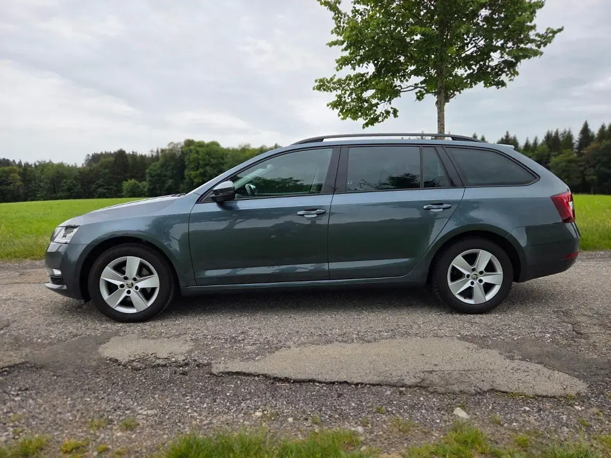 Gebraucht Skoda Octavia Ambition 150 PS (110 kW) 2018 Grau Kombi