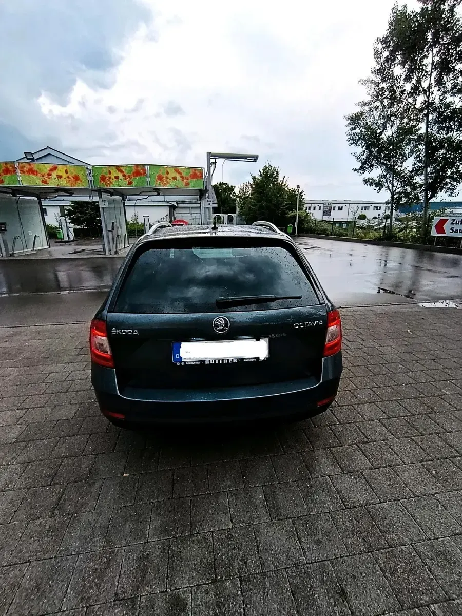 Gebraucht Skoda Octavia 150 PS (110 kW) 2017 Kombi
