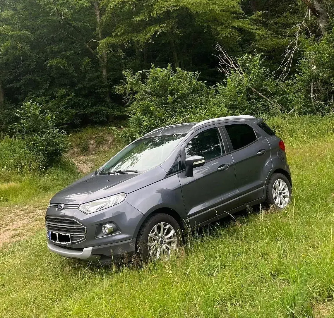 Gebraucht Ford Ecosport Titanium 125 PS (91 kW) 2015 Grau SUV