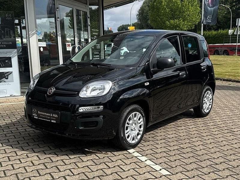 Neu Fiat Panda 69 PS (50 kW) 2025 Cinema schwarz Kleinwagen