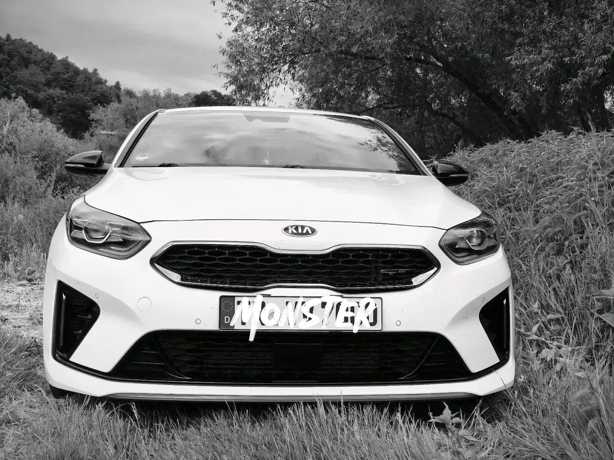 Gebraucht Kia ProCeed GT GT 204 PS (150 kW) 2019 Weiß Kleinwagen