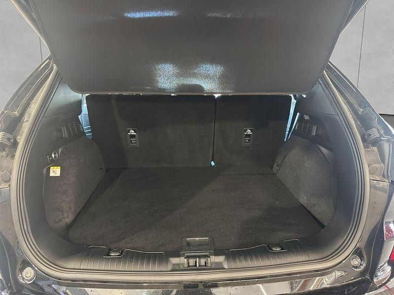 Gebraucht Ford Kuga ST-Line X 186 PS (136 kW) 2024 Agate black metallic SUV