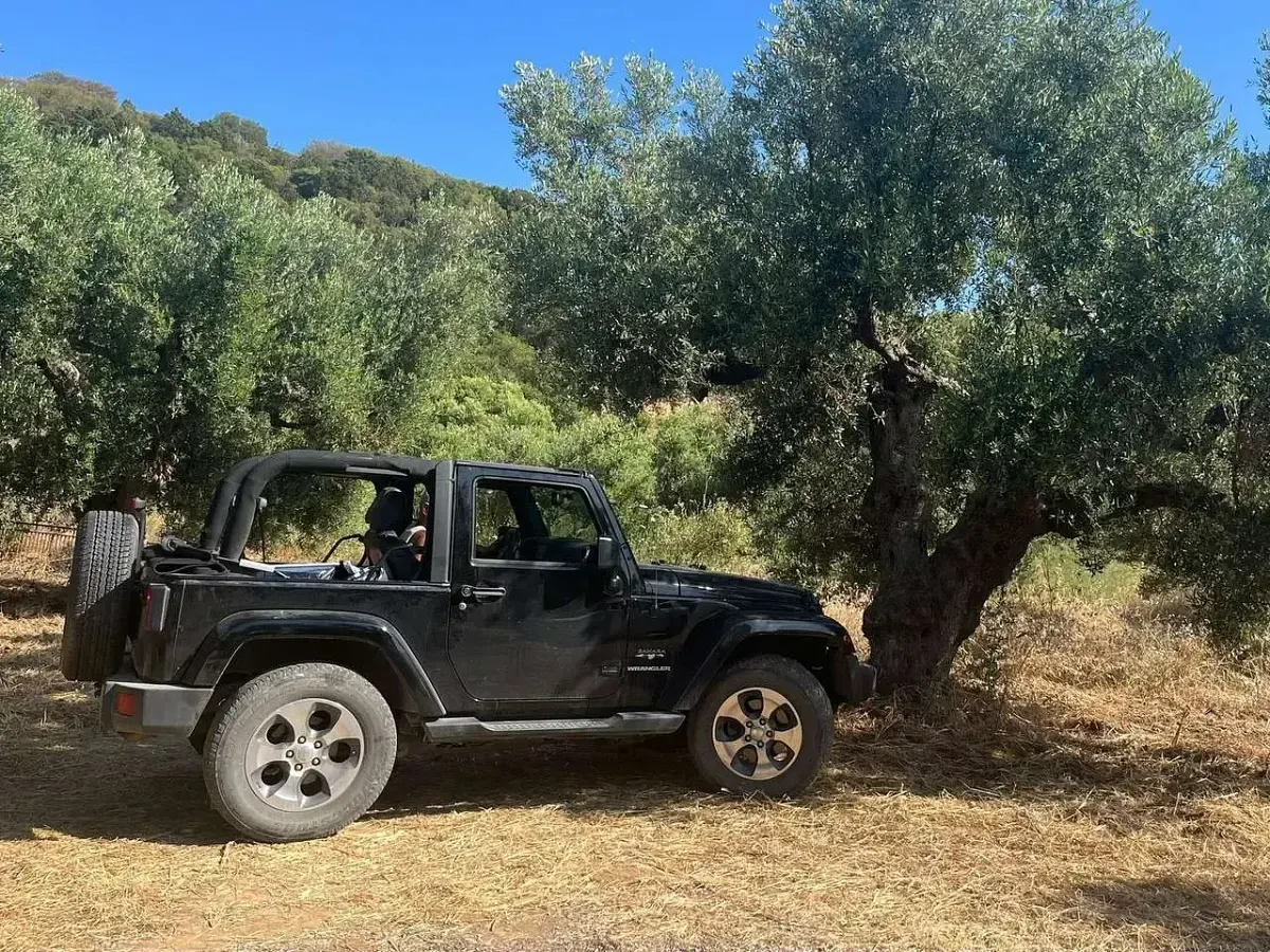 Gebraucht Jeep Wrangler Sahara 200 PS (147 kW) 2017 Black clear coat SUV