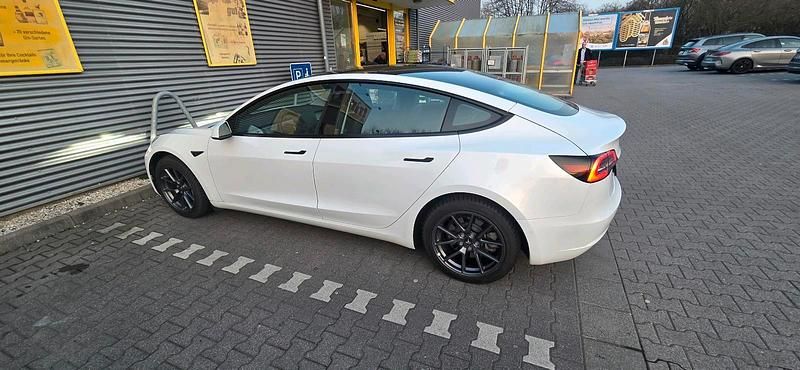 Gebraucht Tesla Model 3 Standard Range Plus 220 kW (300 PS) 2021 Weiß Limousine