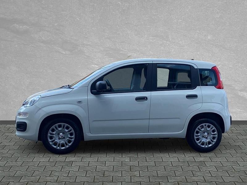 Neu Fiat Panda 69 PS (50 kW) 2025 Weiß Kleinwagen