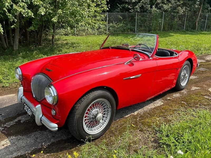 Brugt Austin Healey 100 90 HK (66 kW) 1954 Rød Cabriolet