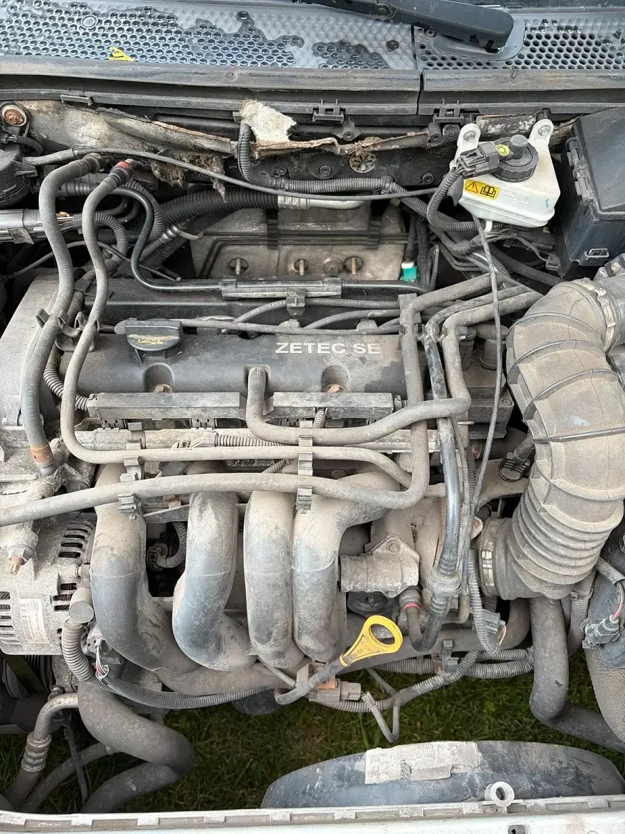 Usata Ford Focus 101 CV (74 kW) 2003 Grigio Utilitaria