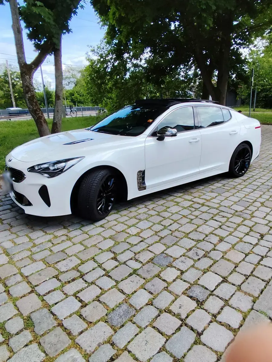 Gebraucht Kia Stinger 200 PS (147 kW) 2018 Weiß Kleinwagen