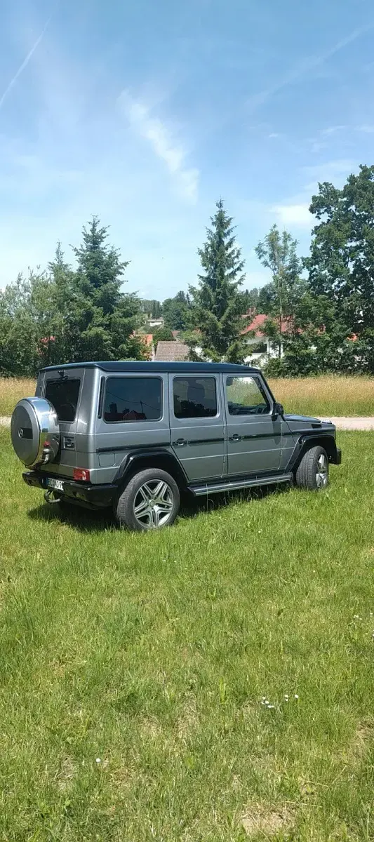 Gebraucht Mercedes G350 245 PS (180 kW) 2017 Grau SUV