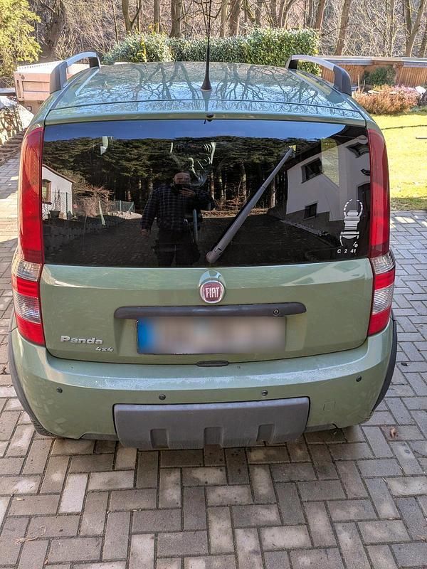 Gebraucht Fiat Panda 4x4 68 PS (50 kW) 2010 Grün Kleinwagen
