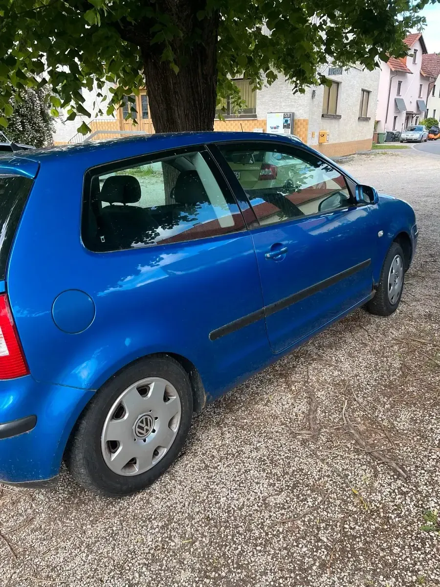 Usata VW Polo 64 CV (47 kW) 2003 Blu Utilitaria