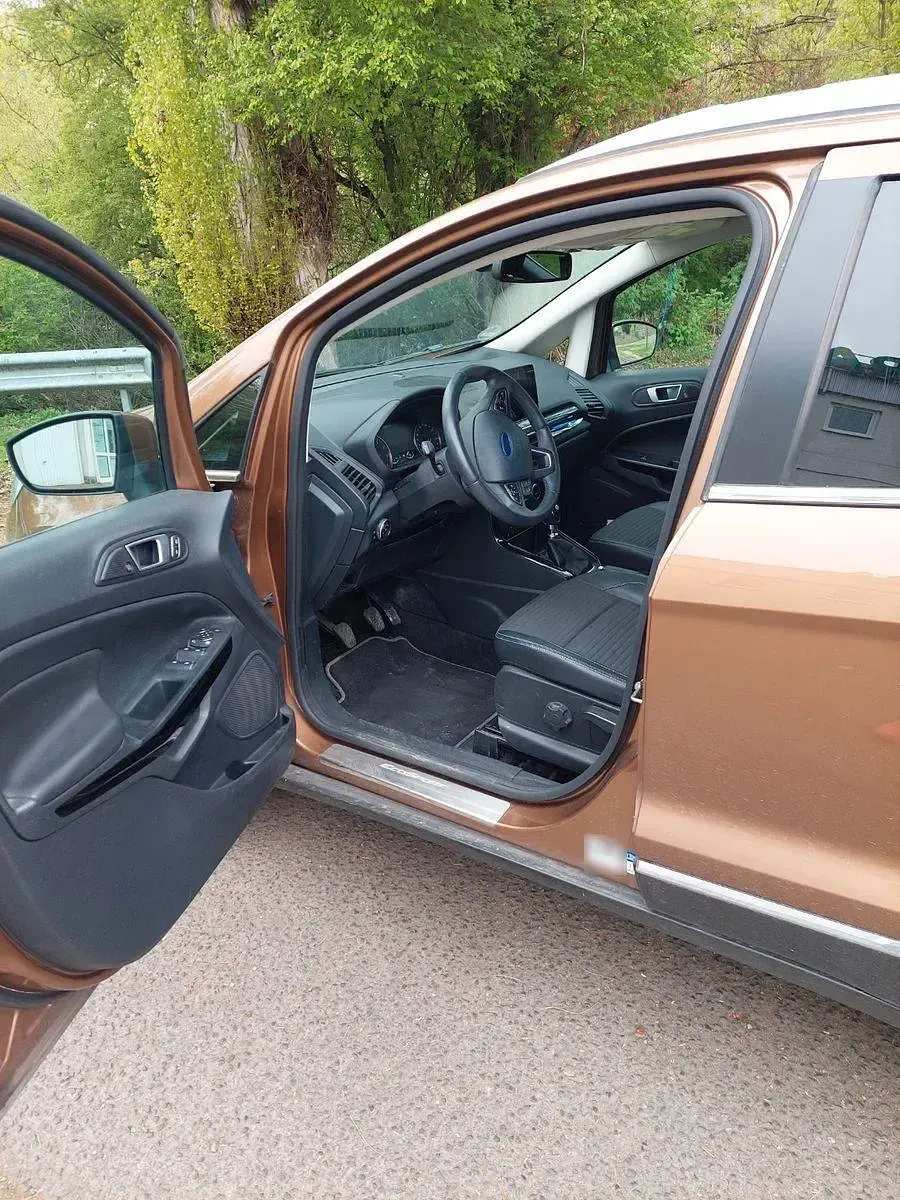 Gebraucht Ford Ecosport Titanium 125 PS (91 kW) 2018 Braun SUV