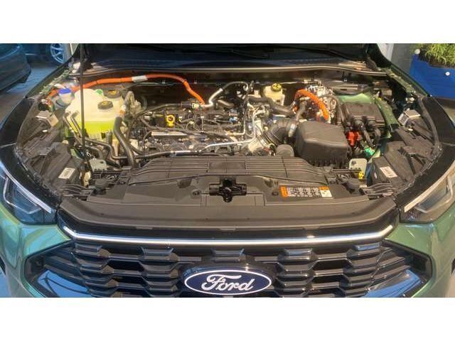 Bursting green Gebraucht 2025 Ford Kuga ST-Line X SUV | 42.990 € (Teuer) - Bild 1/4