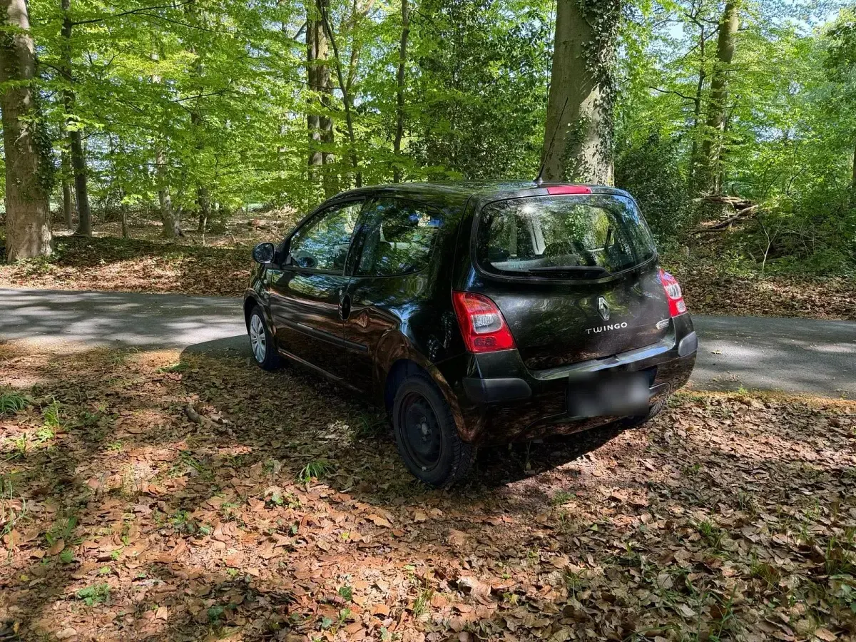 Używany Renault Twingo 58 KM (42 kW) 2009 Czarny Hatchback