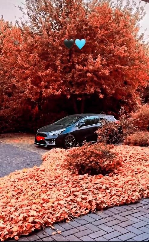 Gebraucht Kia Ceed GT GT 204 PS (150 kW) 2013 Schwarz Kleinwagen