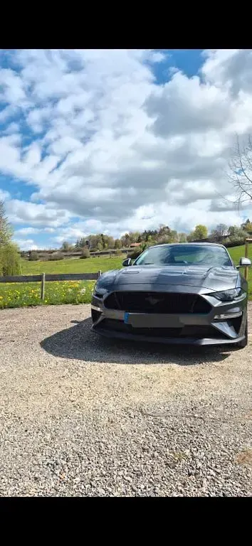 Gebraucht Ford Mustang GT 449 PS (330 kW) 2020 Grau