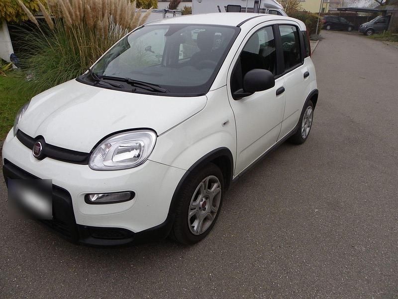Gebraucht Fiat Panda 69 PS (50 kW) 2024 Weiß Kleinwagen