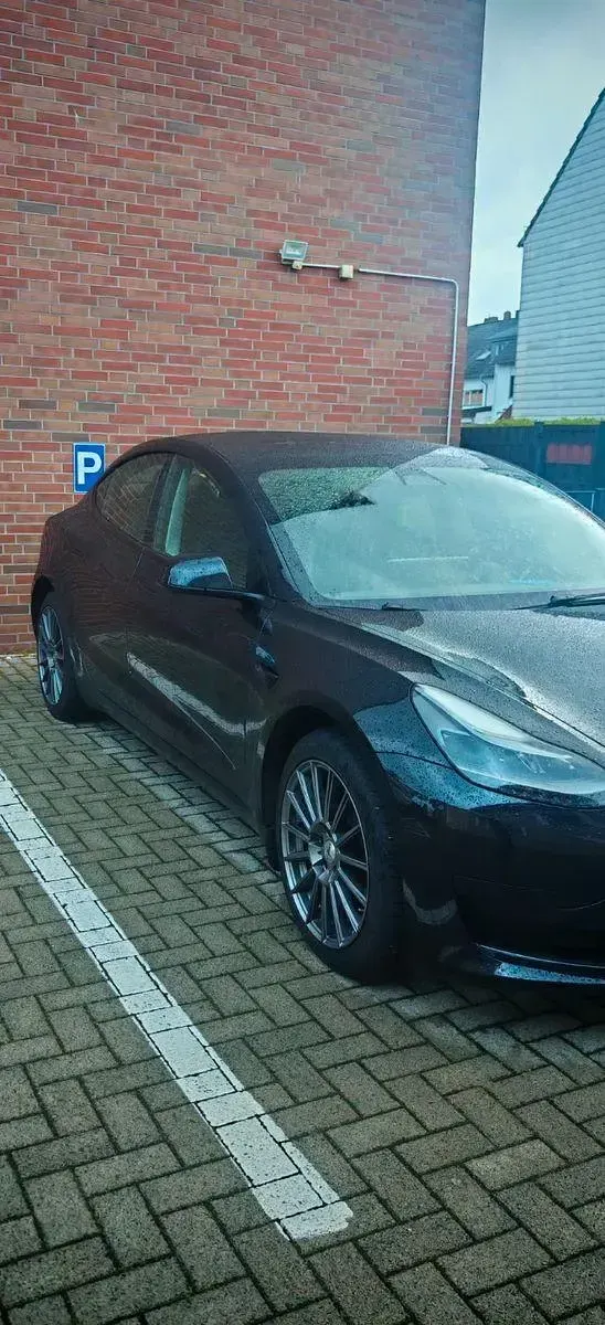 Used Tesla Model 3 RWD 208 kW (283 HP) 2022 Black Sedan