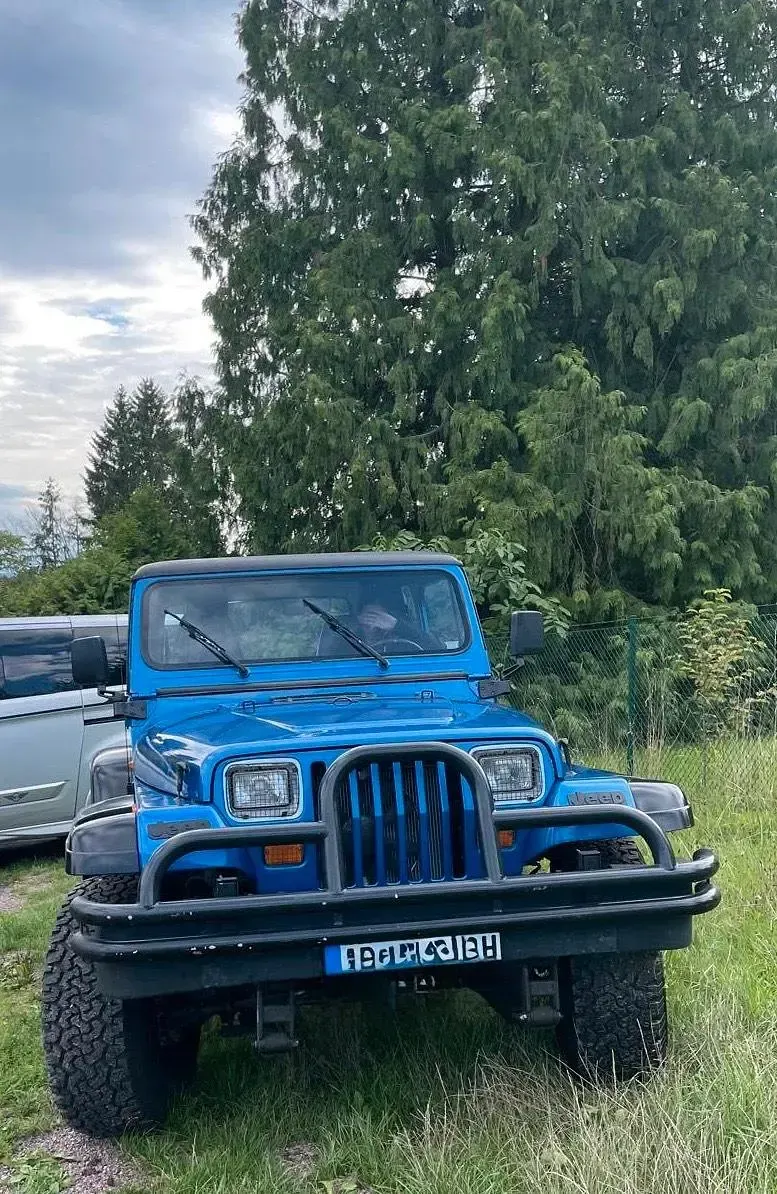 Gebraucht Jeep Wrangler 177 PS (130 kW) 1992 Blau SUV