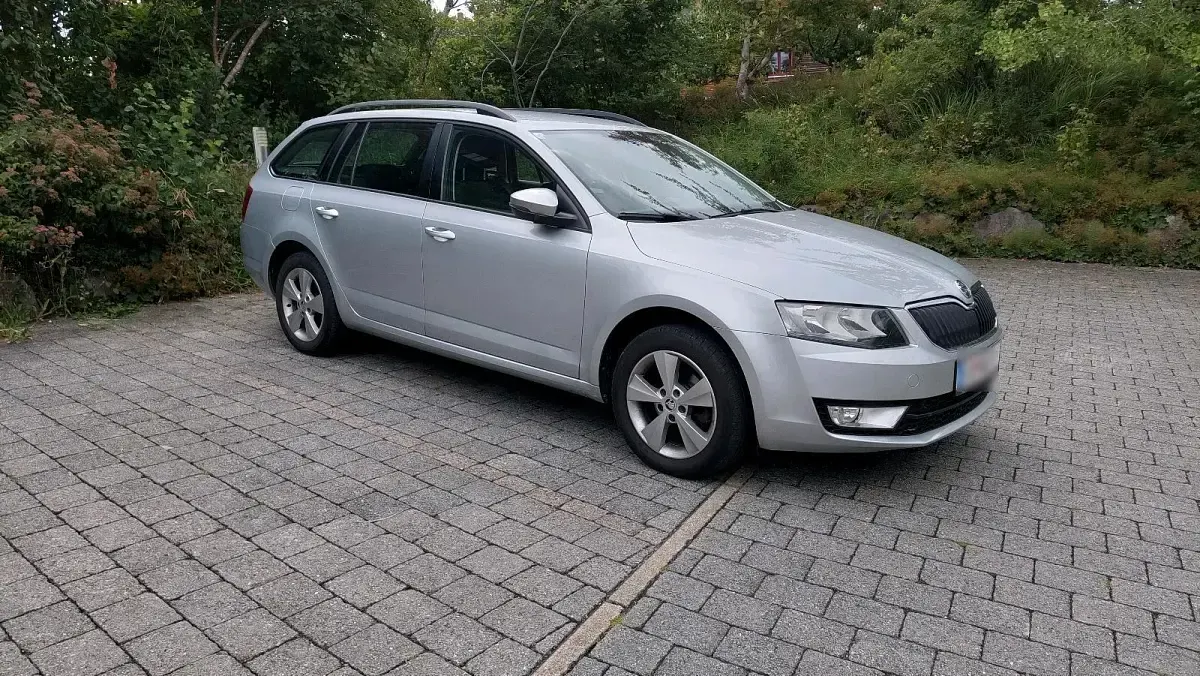 Gebraucht Skoda Octavia 105 PS (77 kW) 2014 Grau Kombi