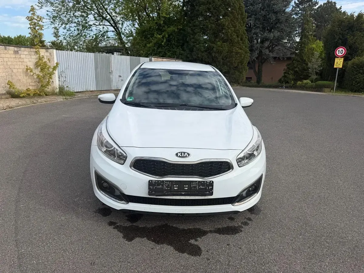 Używany Kia Ceed 101 KM (74 kW) 2016 Biały Hatchback