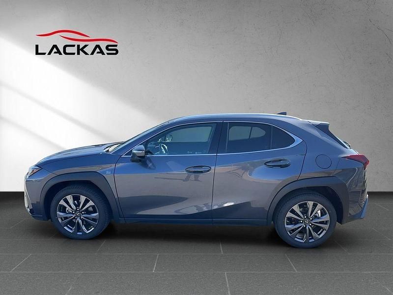 Gebraucht Lexus UX 250h Sport Design Packet 184 PS (135 kW) 2023 Sonic grey (grau) SUV