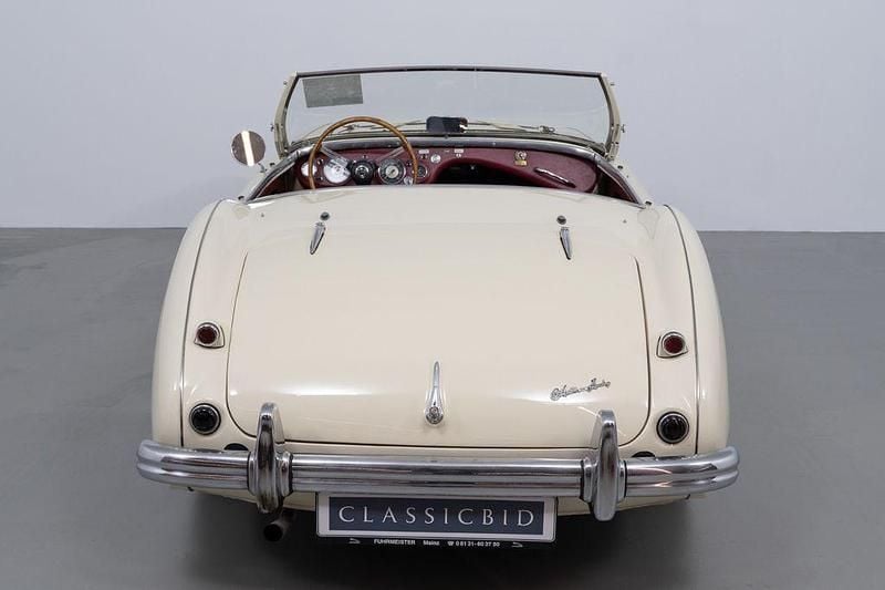 Brugt Austin Healey 100 90 HK (66 kW) 1954 Hvid Cabriolet
