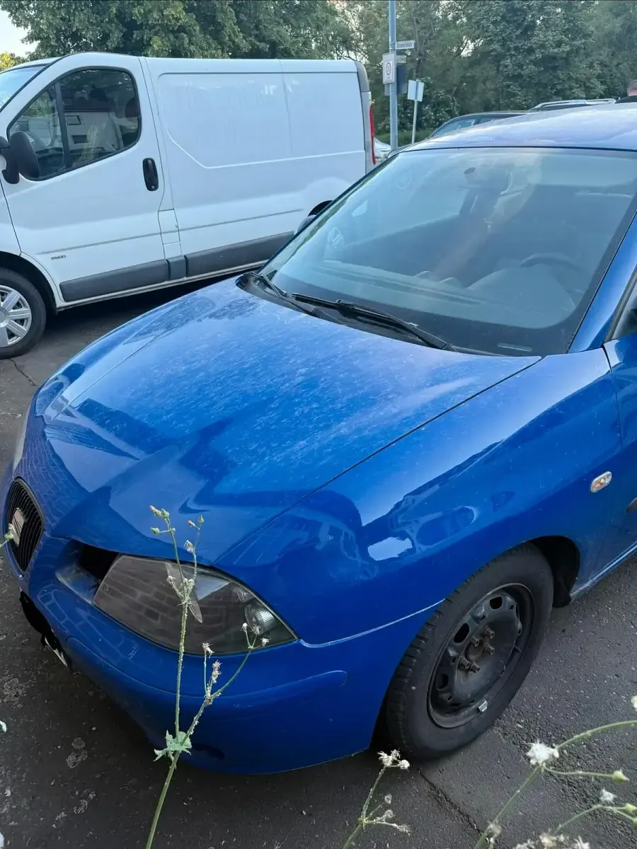 Gebraucht Seat Ibiza 75 PS (55 kW) 2004 Blau Kleinwagen