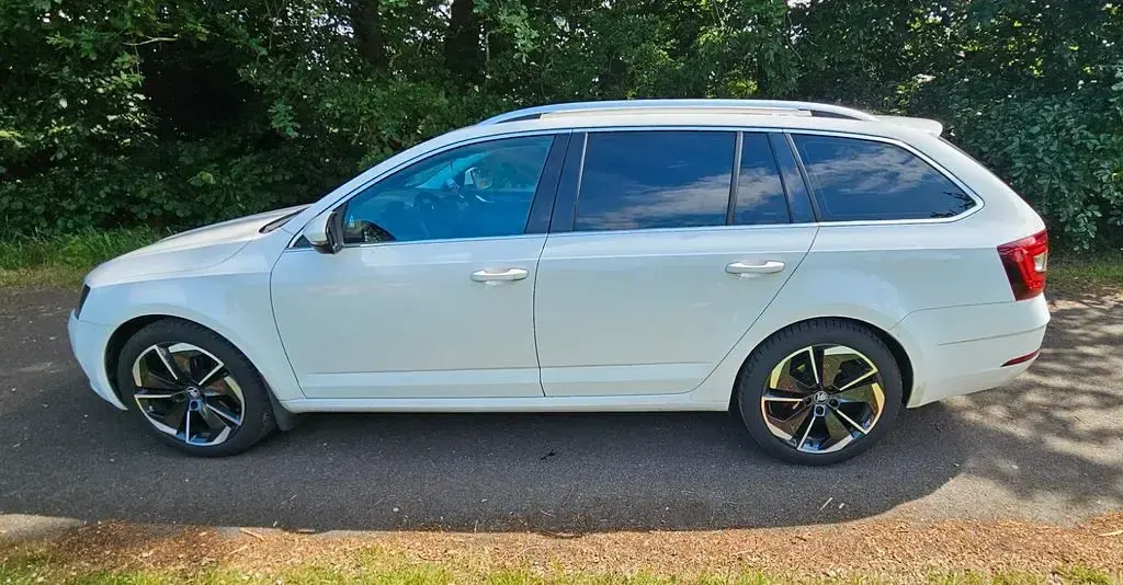 Gebraucht Skoda Octavia G-TEC 110 PS (80 kW) 2018 Weiß Kombi