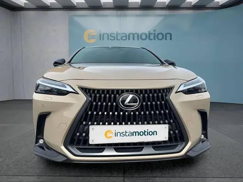 Gebraucht Lexus NX350h 190 PS (139 kW) 2024 Beige SUV