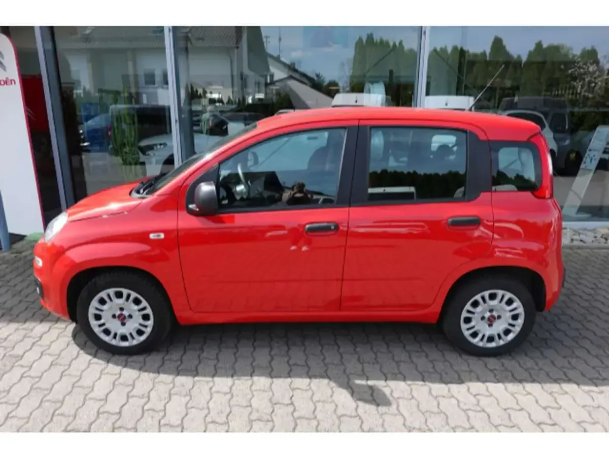 Gebraucht Fiat Panda Easy 69 PS (50 kW) 2019 Colore esterno (bartolini rot) Kleinwagen