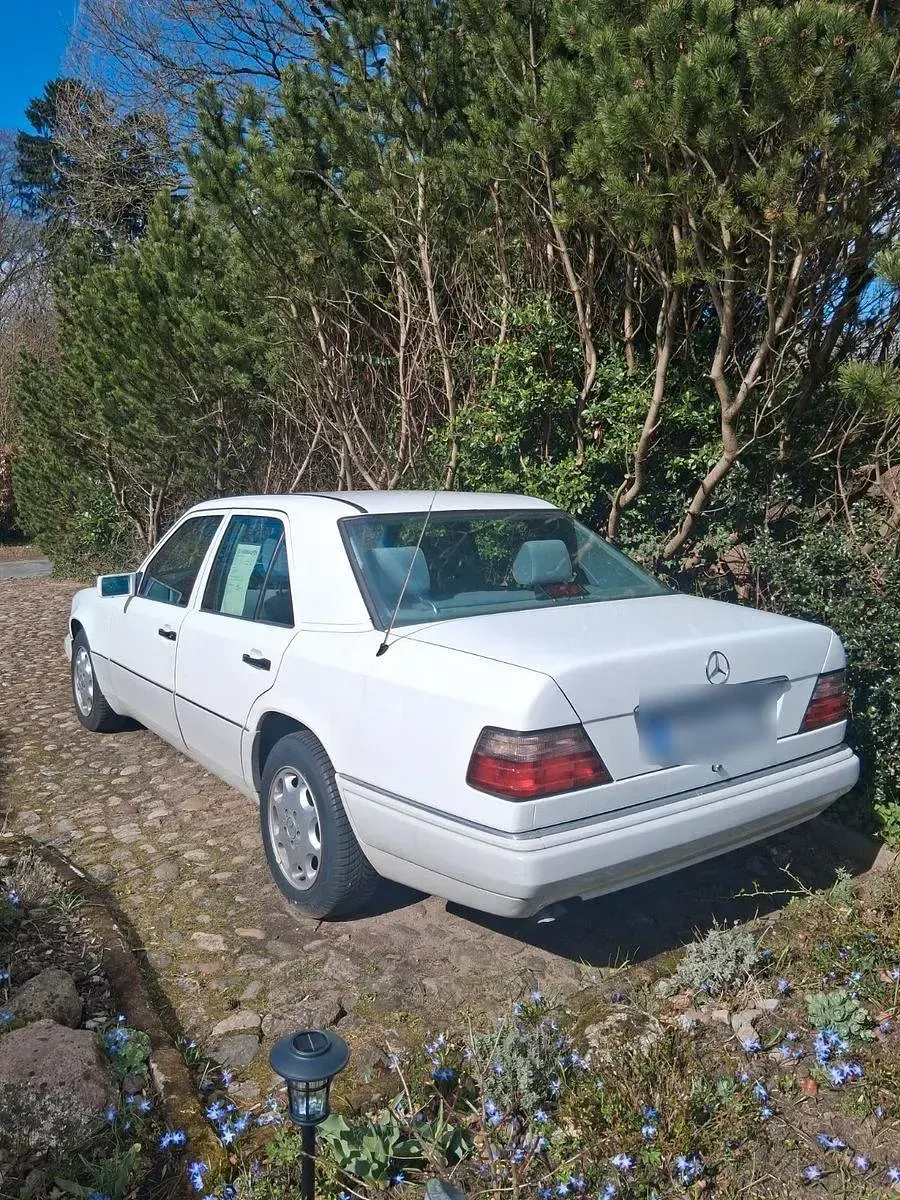 Gebraucht Mercedes E280 193 PS (141 kW) 1993 Weiß Limousine