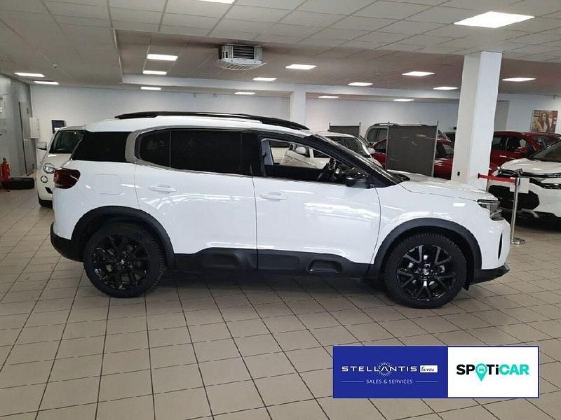 Gebraucht Citroën C5 Aircross Comfort 145 PS (106 kW) 2024 Weiß SUV