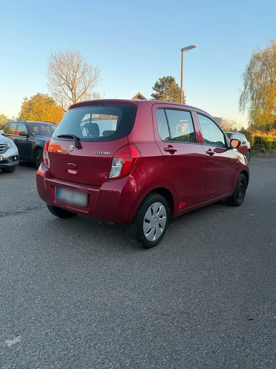 Usata Suzuki Celerio 69 CV (50 kW) 2016 Rosso Utilitaria