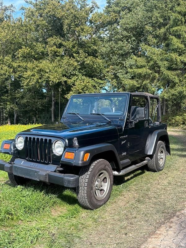 Schwarz Gebraucht 2002 Jeep Wrangler SUV | 11.000 € - Bild 1/4