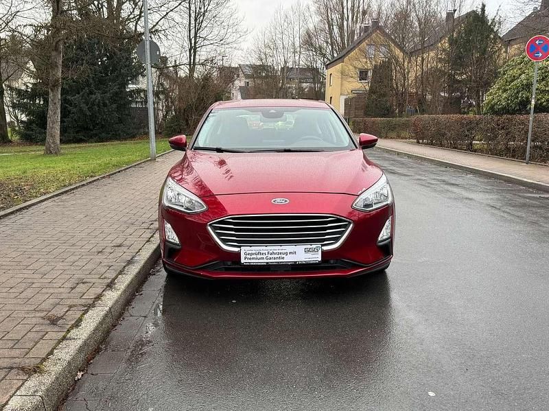 Usata Ford Focus 125 CV (91 kW) 2019 Rosso Utilitaria